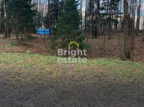 КП Лесные зори, Новорижское шоссе. Продажа лесного участка 40 соток. ID 22610