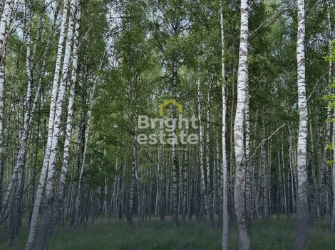 Купить участок 21,38 соток в коттеджном поселке Crystal Forest. ID 22755
