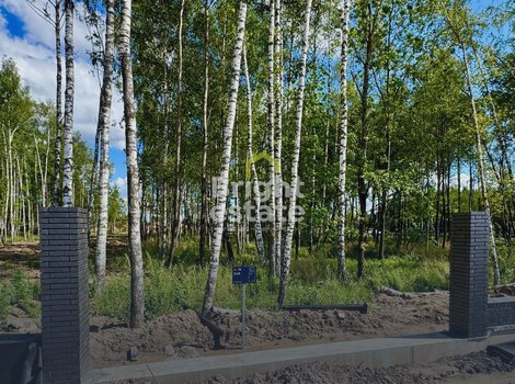 Купить участок в коттеджном поселке Crystal Forest, Новая рига. ID 22760