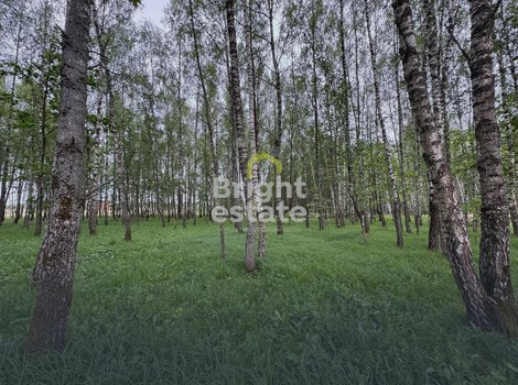 Купить участок в коттеджном поселке Crystal Forest, Новая рига. ID 22760