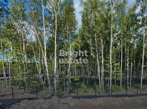 Купить лесной участок в коттеджном поселке Crystal Forest. ID 22761