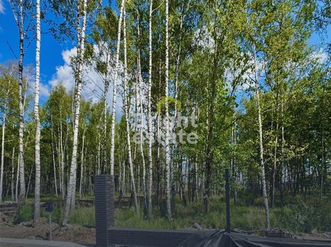 Купить участок с лесными деревьями в коттеджном поселке Crystal Forest. ID 22762