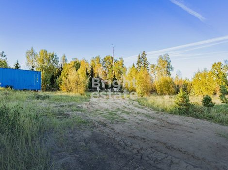 Купить участок 11 соток в КП Мэдисон Парк. ID 22829