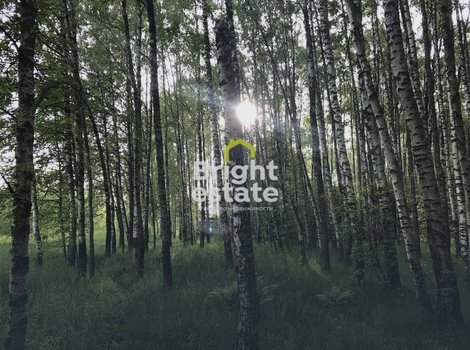 Купить участок 28 соток в КП Успенские дачи-1. ID 22914