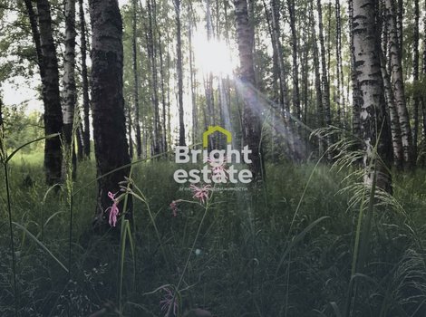 Купить участок 28 соток в КП Успенские дачи-1. ID 22914