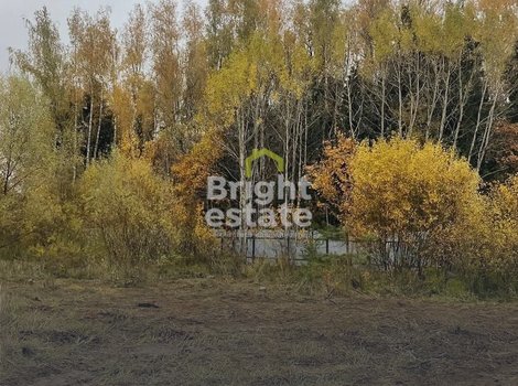 Купить прилесной участок в КП Лесной простор. Лот №22952 Купить прилесной участок в КП Лесной простор. ID 22952