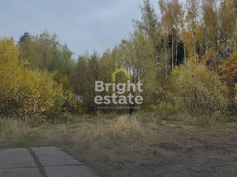 Купить прилесной участок в КП Лесной простор. Лот №22952 Купить прилесной участок в КП Лесной простор. ID 22952
