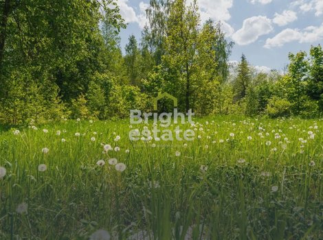 Купить участок в КП Президент. ID 23034