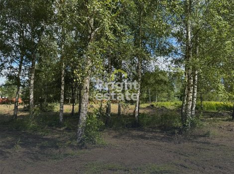 КП Бузланово - купить участок на Новой Риге. ID 23064