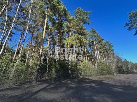 Купить участок 50 соток в КП Сосновый бор. ID 23217