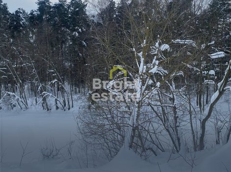 Купить участок 85 соток в КП Сосновый бор. ID 23386