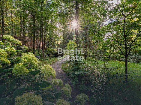 Купить лесной участок с домом под снос деревне Жуковка. ID 23435