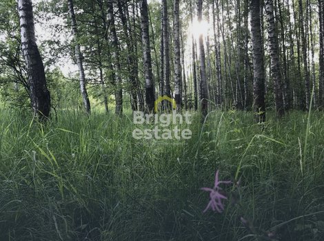 Купить участок в КП Покровское-Рубцово на Новорижском шоссе. ID 23476