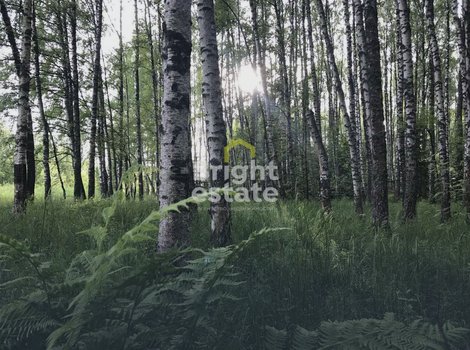 Купить участок в КП Покровское-Рубцово на Новорижском шоссе. ID 23476