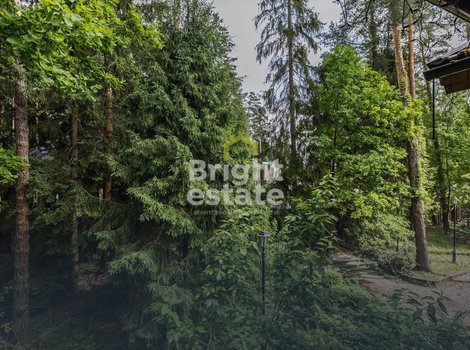 Купить лесной участок в КП Сосновый бор. ID 23489