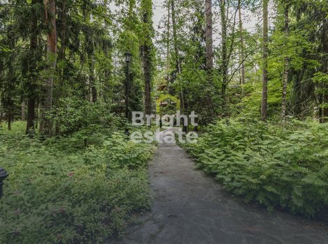 Купить лесной участок в КП Сосновый бор. ID 23489