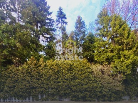 Купить участок в КП Николино на Рублево-Успенском шоссе. ID 23508