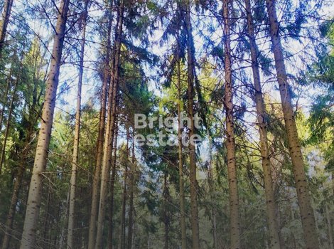 Купить участок в КП Николино на Рублево-Успенском шоссе. ID 23508