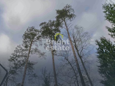 Продажа лесного участка 25 соток в КП Сареево-39. ID 23520