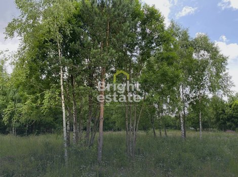 Купить участок правильной форсы в КП Вижн. Лот №23883 Купить участок правильной форсы в КП Вижн. ID 23883