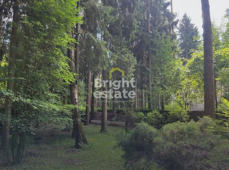 Купить лесной участок 14,6 соток в поселке Новая деревня. ID 23960