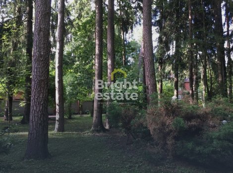 Купить лесной участок 14,6 соток в поселке Новая деревня. ID 23960