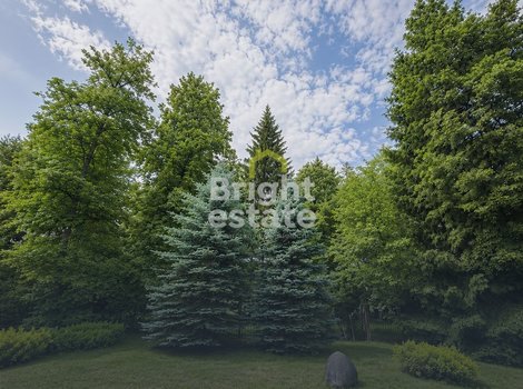 Лесной участок в КП Загорье. ID 23983