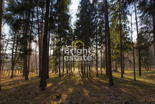 фотографии коттеджного поселка Мастера искусств ДСК, Волоколамское шоссе, 25 км от МКАД фото КП Мастера искусств ДСК, Волоколамское шоссе, 25 км от МКАД