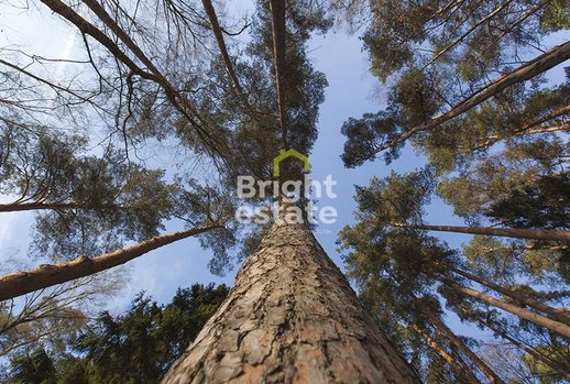 фотографии коттеджного поселка Мастера искусств ДСК, Волоколамское шоссе, 25 км от МКАД фото КП Мастера искусств ДСК, Волоколамское шоссе, 25 км от МКАД