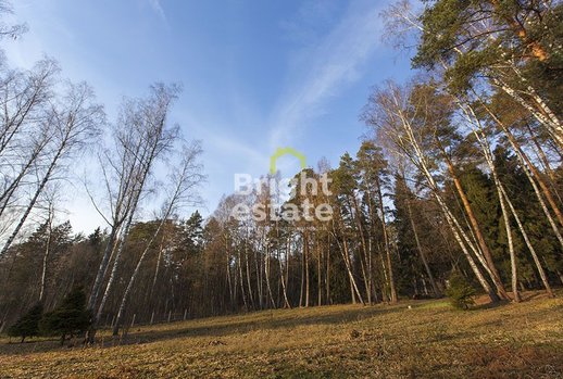фотографии коттеджного поселка Мастера искусств ДСК, Волоколамское шоссе, 25 км от МКАД фото КП Мастера искусств ДСК, Волоколамское шоссе, 25 км от МКАД