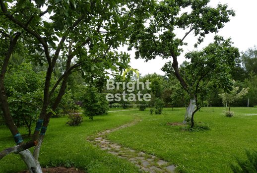 фото КП Нил СНТ, Новорижское шоссе, 40 км от МКАД