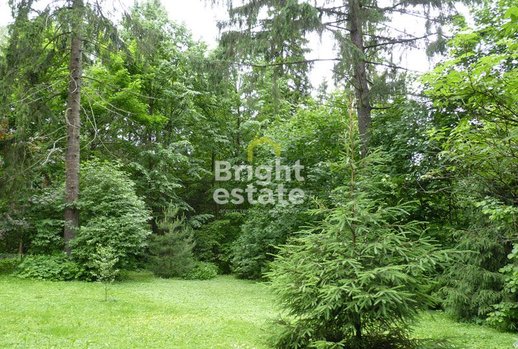 фото КП Нил СНТ, Новорижское шоссе, 40 км от МКАД