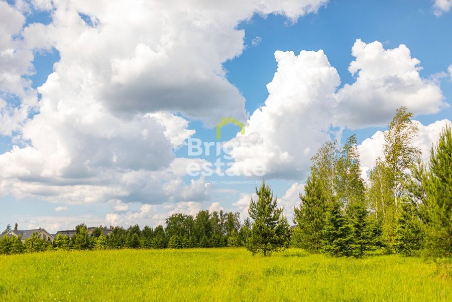 Купить большой участок 45,9 сот. в загородном поселке Агаларов Estate. Лот №13546 Купить большой участок 45,9 сот. в загородном поселке Агаларов Estate. ID 13546