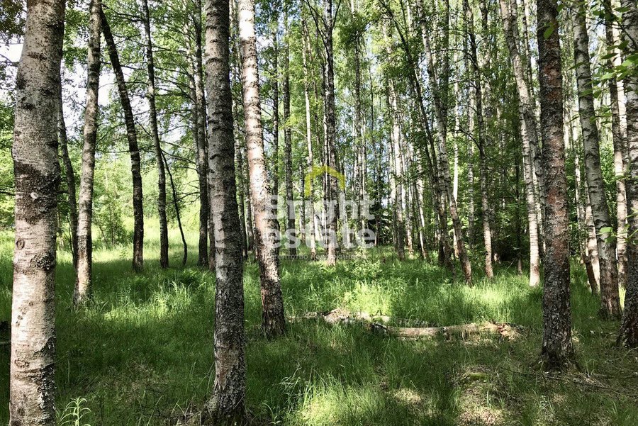Лесной земельный участок в загородном поселке Вымпел. ID 13834