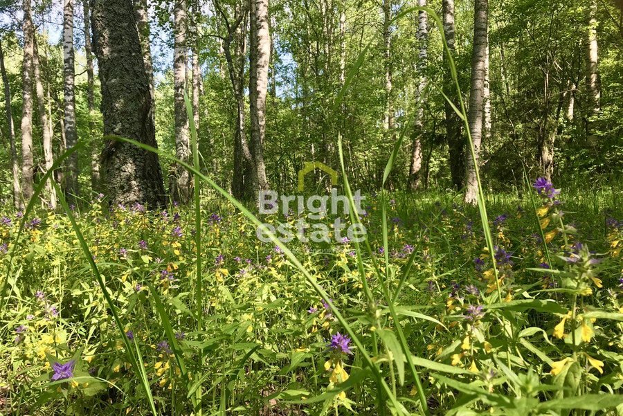 Продажа земли в загородном поселке Никологорские дачи. Лот №14120 Продажа земли в загородном поселке Никологорские дачи. ID 14120