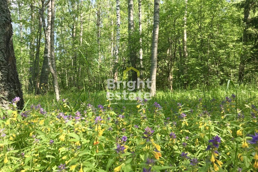 Продажа земли в загородном поселке Никологорские дачи. Лот №14120 Продажа земли в загородном поселке Никологорские дачи. ID 14120