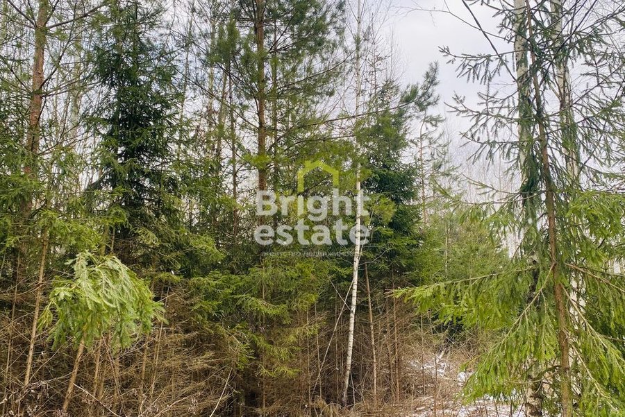 Купить землю в загородном поселке ДПК Оленев и К. ID 15376