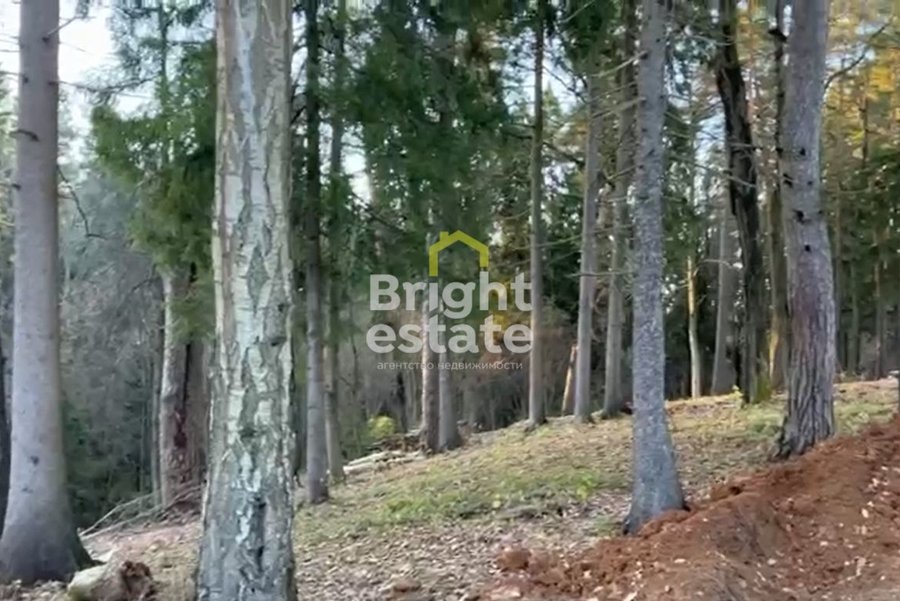 Купить загородный дом под чистовую отделку в КП Усадьба Подушкинского лесопарка. ID 16659