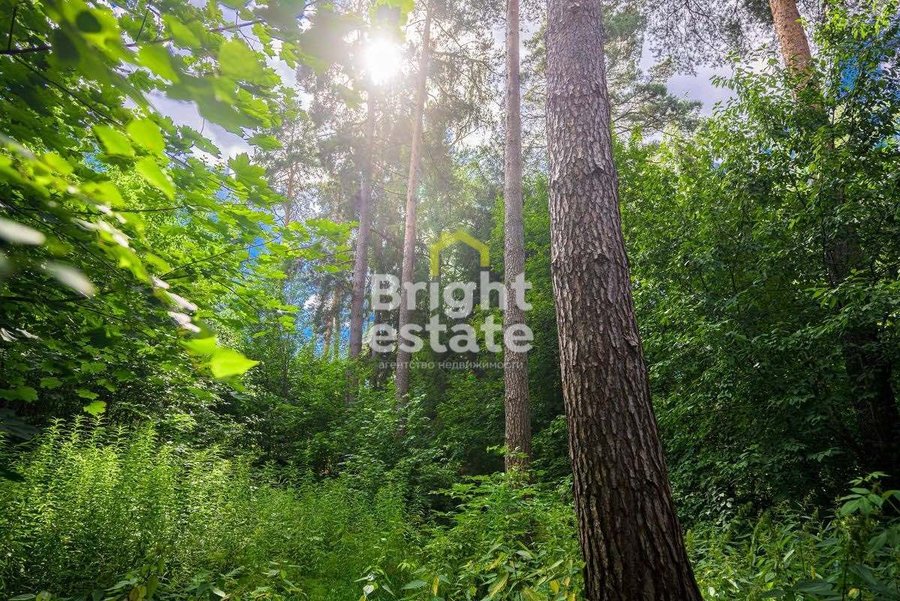 Купить лесной участок 35 соток в КП Покровское-Рубцово. ID 17196