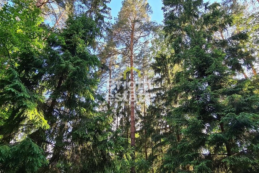 Купить участок с лесными деревьями в КП Успенские дачи-1. ID 17983