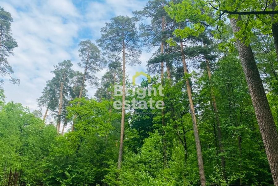 Купить лесной участок 40 соток в КП Ильинские дачи. ID 18108