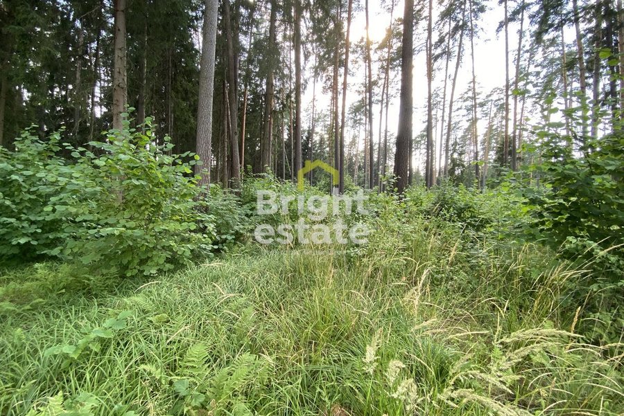 Купить лесной участок с фундаментом в КП Вымпел. ID 18338