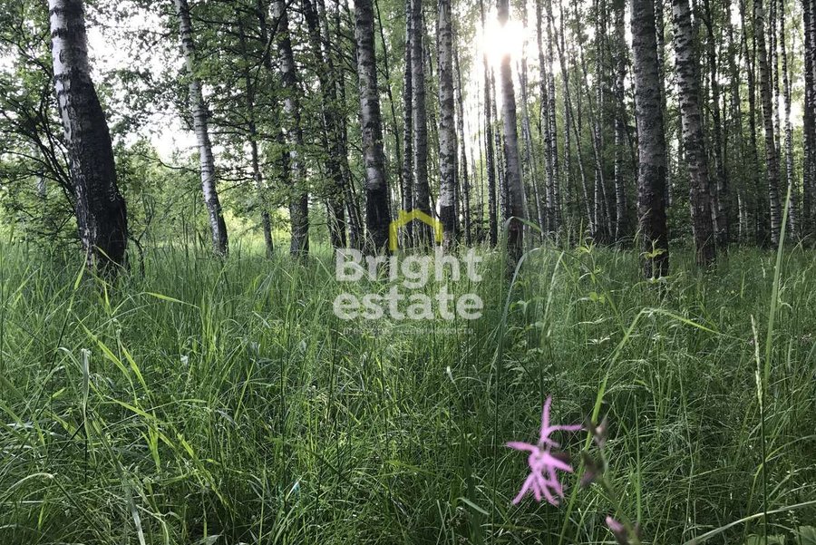 Купить участок в КП Успенские Дачи-1. ID 19379