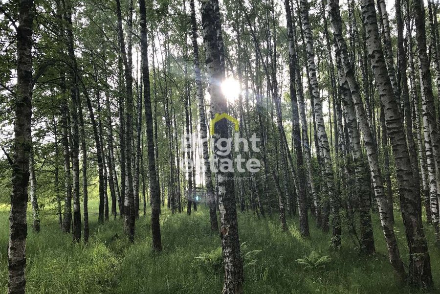 Купить участок в КП Успенские Дачи-1. ID 19379