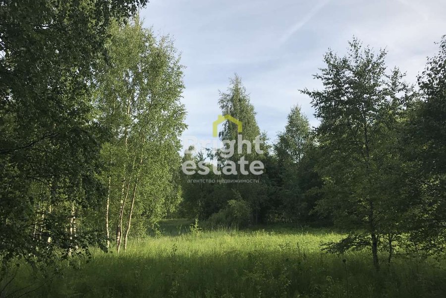 Купить участок в КП Успенские Дачи-1. ID 19379