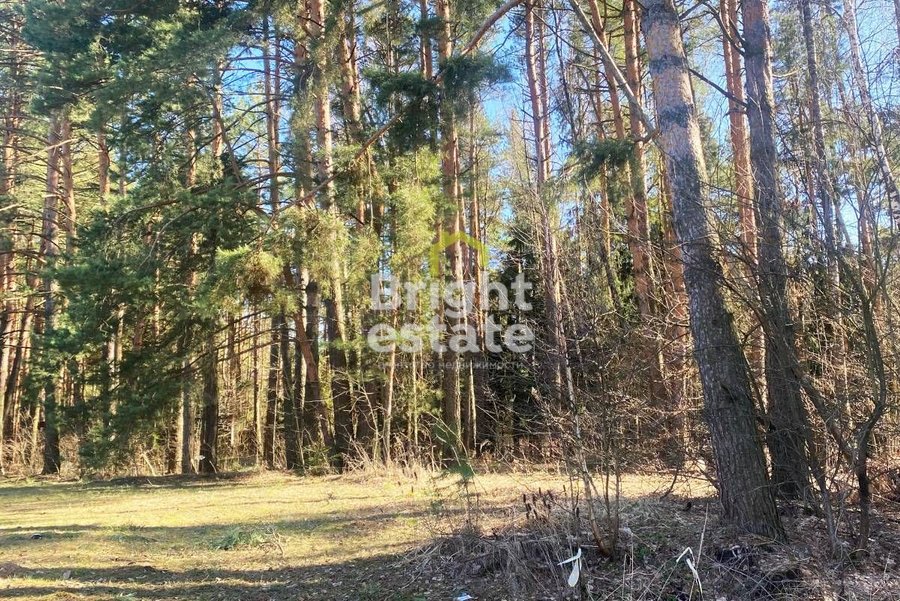 Купить участок с лесными деревьями в КП Гранд Иславское. Лот №20998 Купить участок с лесными деревьями в КП Гранд Иславское. ID 20998