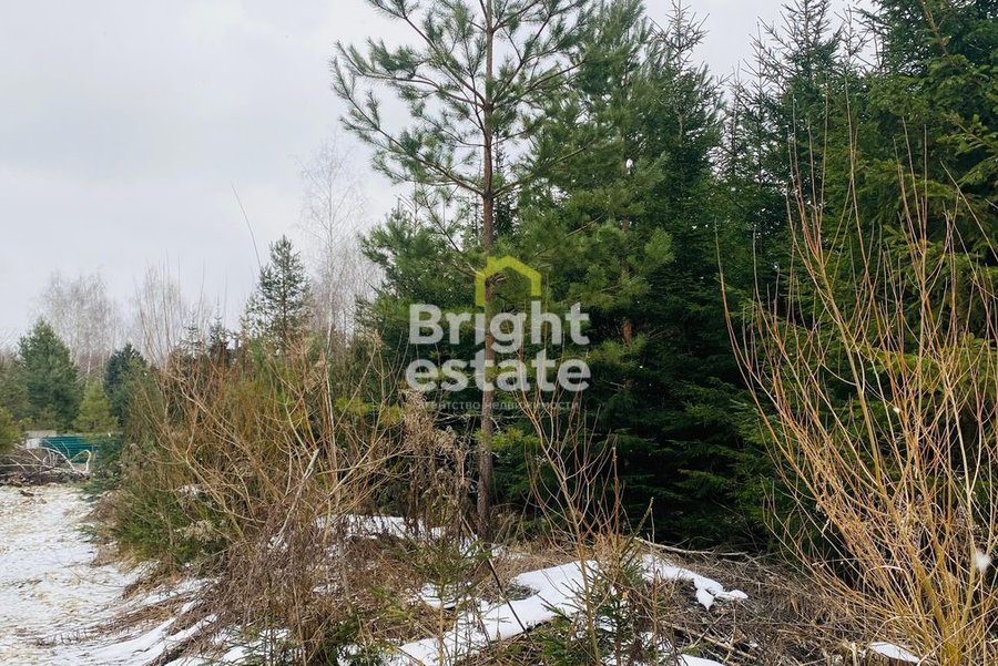 Купить лесной участок в поселке ДПК Оленев и К, Рублево-Успенское шоссе. ID 21475