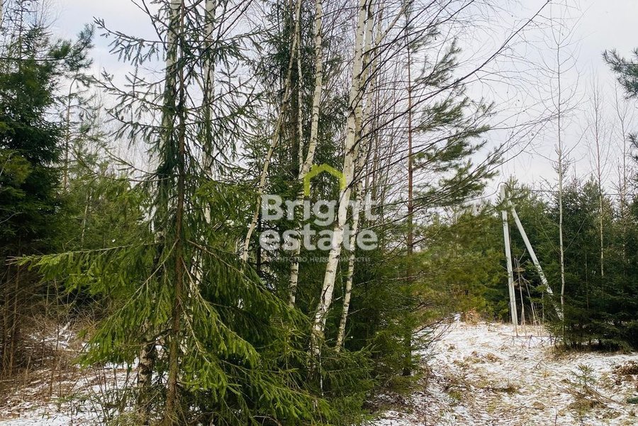 Купить участок 12 соток в поселке ДПК Оленев и К, 24 км от МКАД. ID 21494