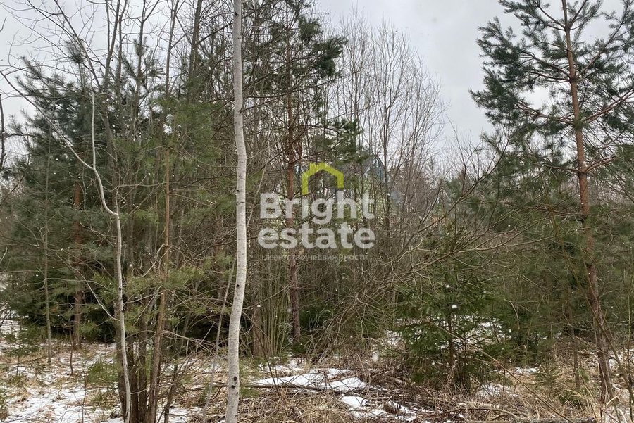 Купить участок 12 соток в поселке ДПК Оленев и К, 24 км от МКАД. ID 21494