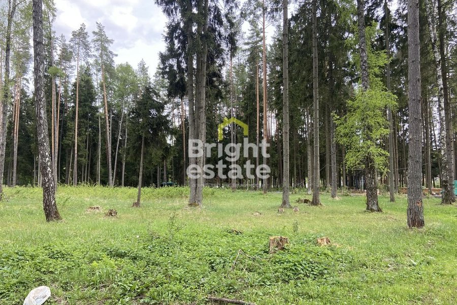 Купить участок рядом с лесом в КП Лесные зори. Лот №21663 Купить участок рядом с лесом в КП Лесные зори. ID 21663